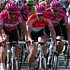 Kim Kirchen im Hauptfeld w�hrend der 2. Etappe der Tour of California 2007